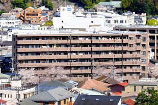 ナイス エスアリーナ弘明寺の物件外観写真